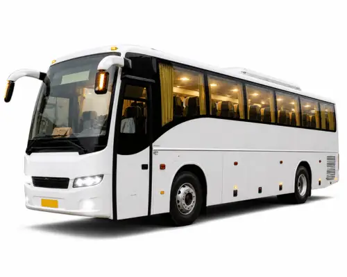 Travel Bus