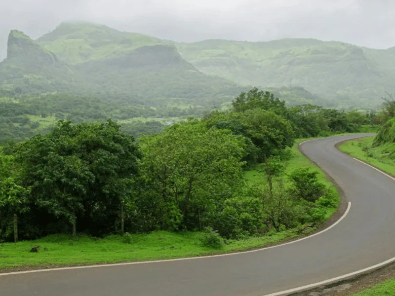 West India Road Trip